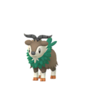 Skiddo