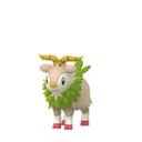 Skiddo