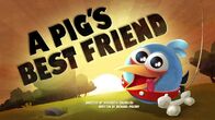 Lista de Episodios de Angry Birds Toons