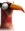 Toucan Sam