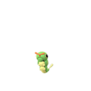 Caterpie