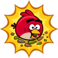 Amigos do Angry Birds /