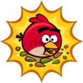 Amis d'Angry Birds/