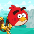 Amis d'Angry Birds/