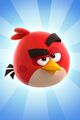 Amis d'Angry Birds/