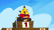 Amigos de Angry Birds