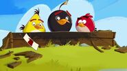 Amigos de Angry Birds