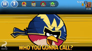 Amis d'Angry Birds/