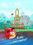 Amis d'Angry Birds/