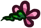 Chapéu flor