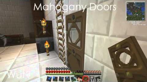 Mahogany Doors (música)
