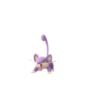 Rattata