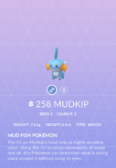 Mudkip