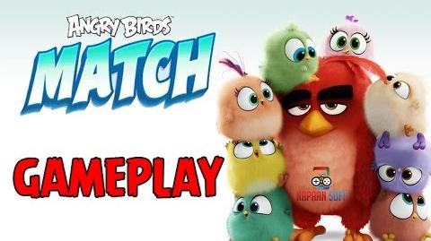 Angry Birds match