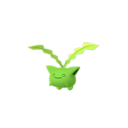 Skiploom