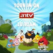 Lista de redes de Angry Birds Toons