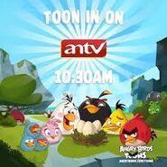 Liste des réseaux Angry Birds Toons