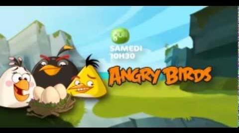Liste des réseaux Angry Birds Toons