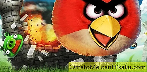 Página da web do Angry Birds: passo a passo de nível