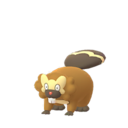 Bidoof