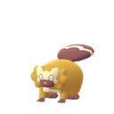 Bidoof