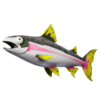 Peixe