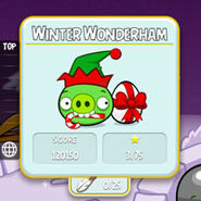 Winter Wonderham