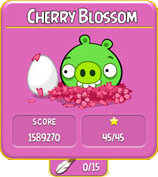 Cherry Blossom