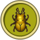 Litmus Stag Beetle