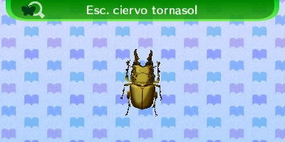 Litmus Stag Beetle
