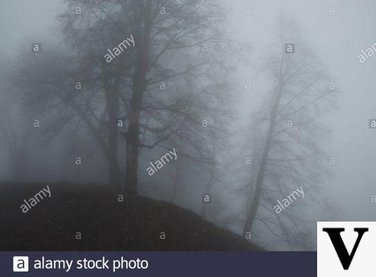 Neblina oscura