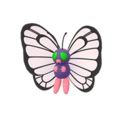 Butterfree