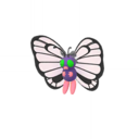 Butterfree