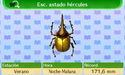 Hercules Horned Beetle