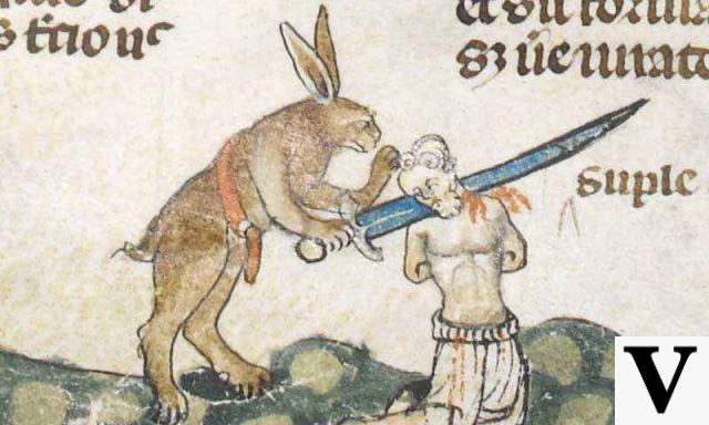 Battle Bunny Knight