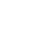 City Night