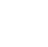 Night City