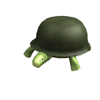 General Turtle