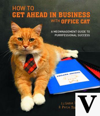 Porte-documents Business Cat's Business