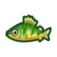 Guia: lista de peixes de abril (Novos Horizontes)