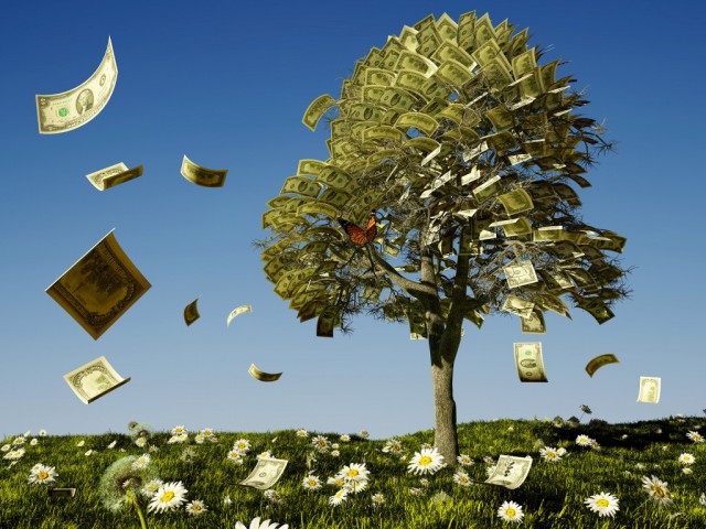 Charla: árbol del dinero