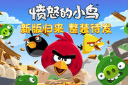 Angry Birds (Chine)