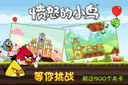 Angry Birds (Chine)