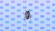 Escarabajo de cuernos largos