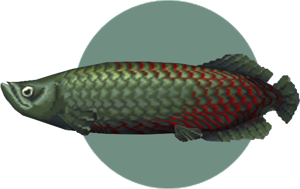 Pescado raro