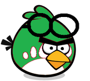 Goggle Bird
