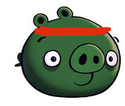 Raid Bad Piggies