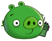 Raid Bad Piggies