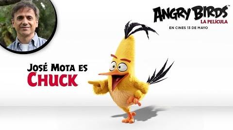 Angry Birds: The Movie