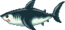 Grande tubarão branco